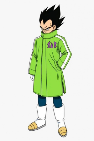 Dragon Ball Vegeta SAB Coat