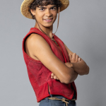 Monkey D. Luffy Vest