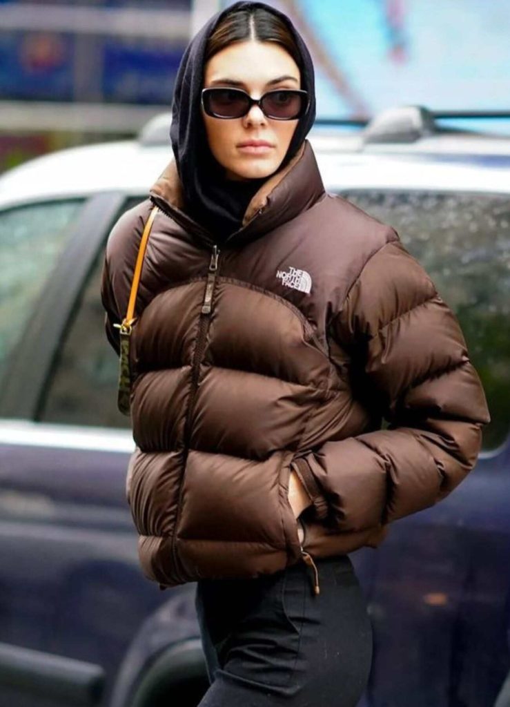 THE NORTH FACEノースフェイス　デナリジャケット　ファルコンブラウン Kendell Jenner North Face Brown Puffer Jacket