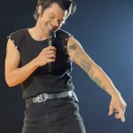 Harry Style Harryween Vest
