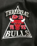 1993 Jeff Hamilton Chicago Bulls 3-Peat Championship Jacket - Image 3