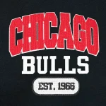 Chicago Bulls City Arch Black and White Varsity Jacket