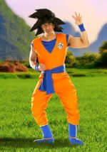 Dragon Ball Z Goku Men's Costume